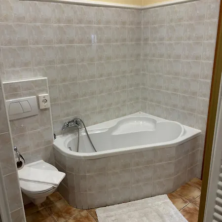 77 - Garni 招待所 皮兹诺克