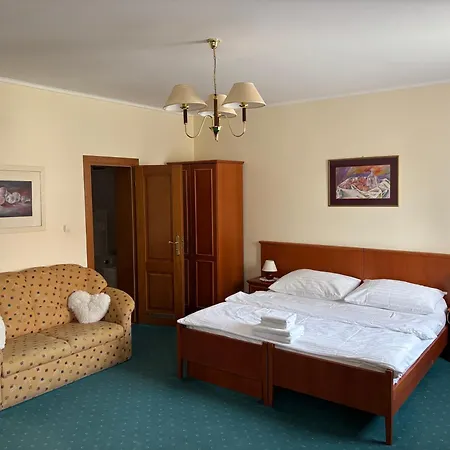 77 - Garni 招待所 皮兹诺克