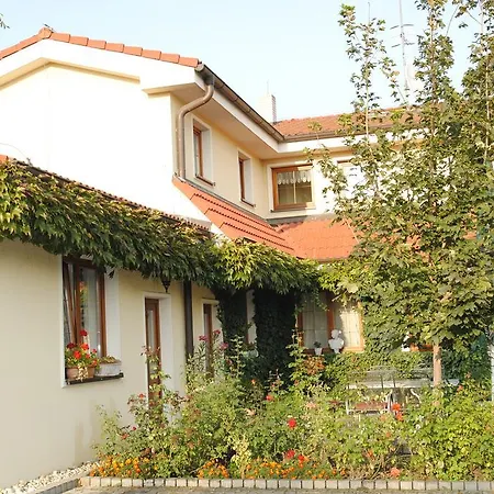 招待所 77 - Garni 皮兹诺克